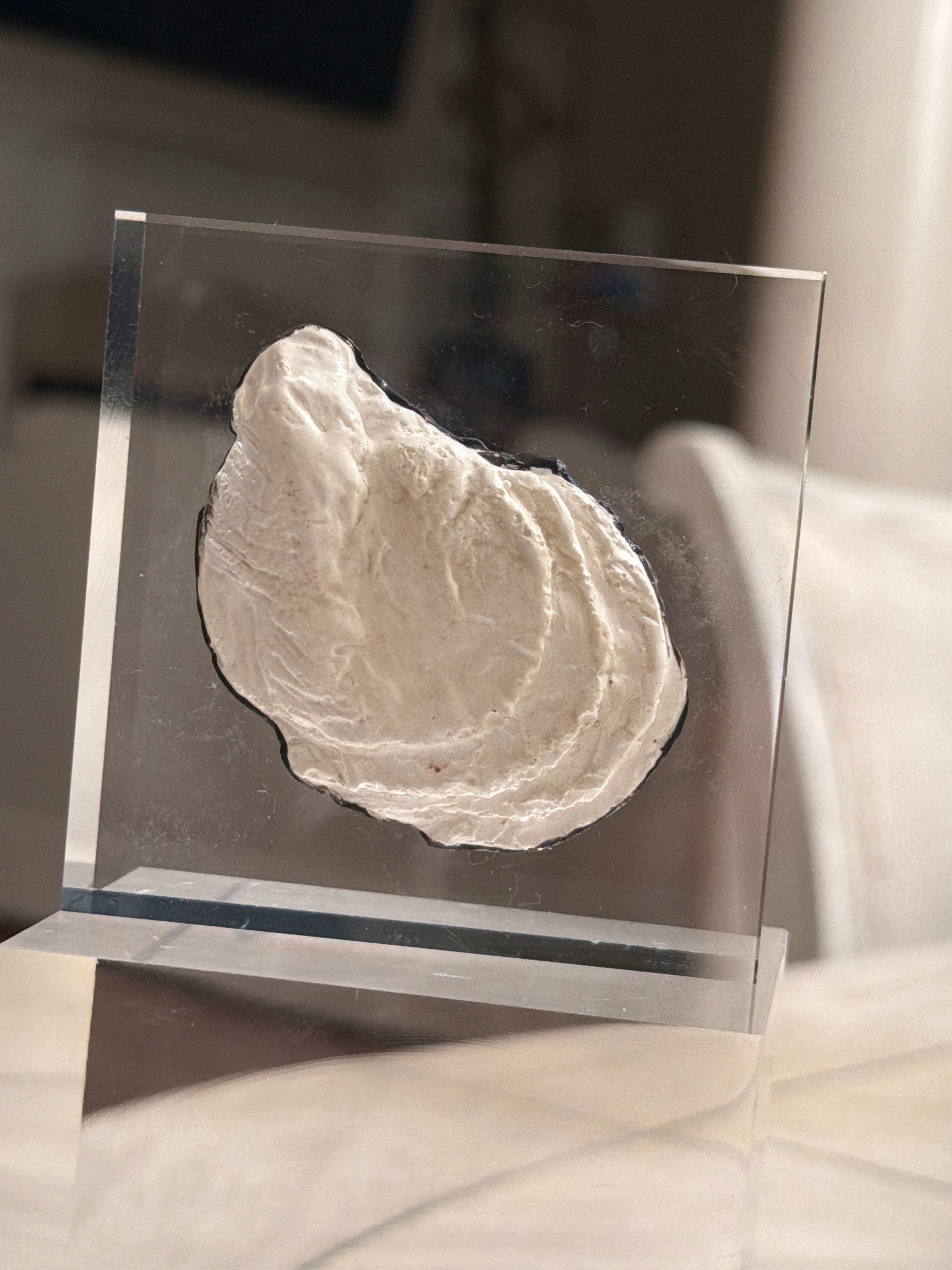 Oyster Shell Intaglio Acrylic Block – 3x3 Coastal Decorative Display