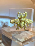 Gold Bee Intaglio on Acrylic Block – Modern Entomology Display