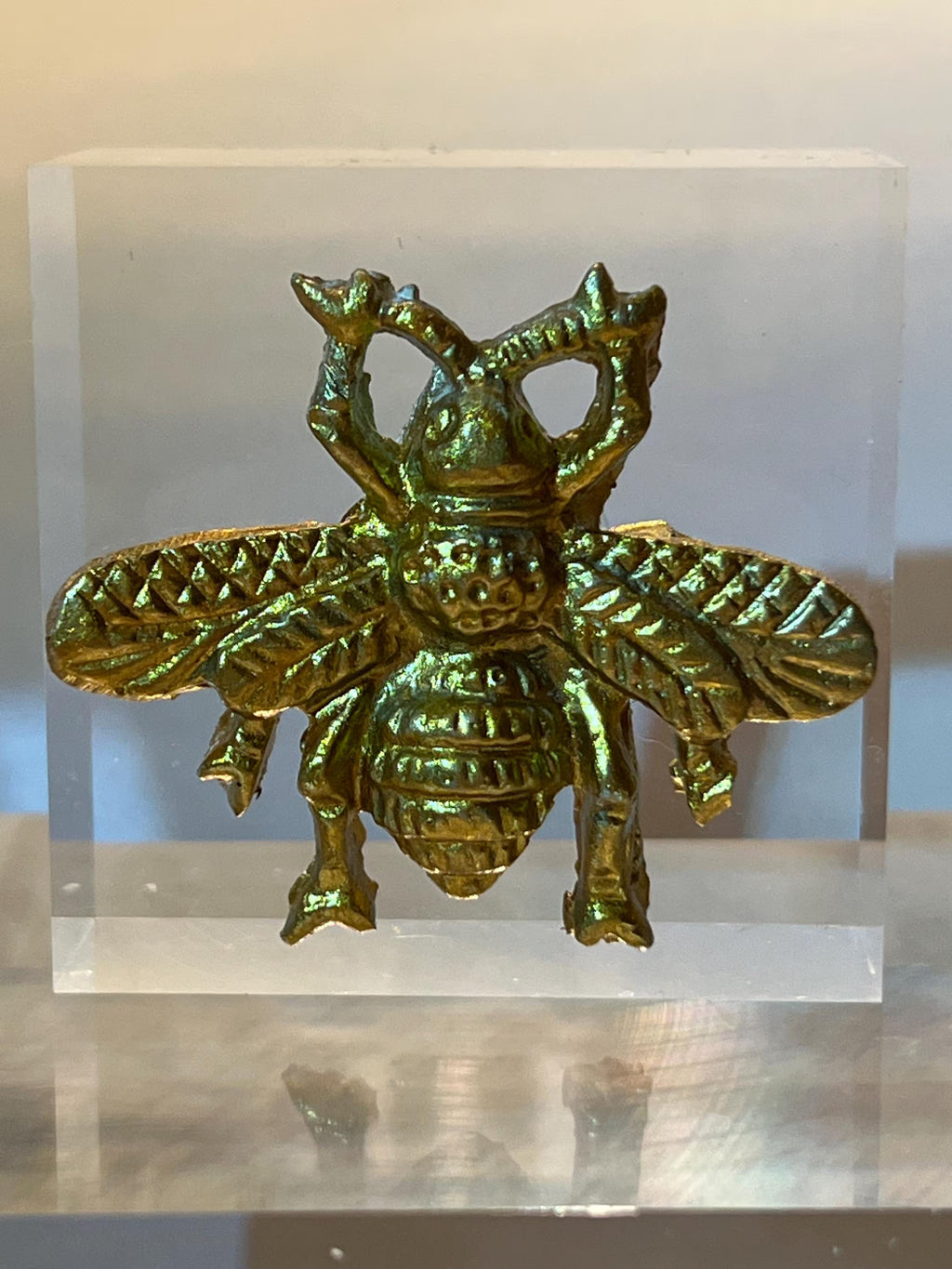 Gold Bee Intaglio on Acrylic Block – Modern Entomology Display