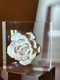 White & Gold Rose Acrylic Block Art – Elegant Floral Decor, Romantic Gift, Desk Accent