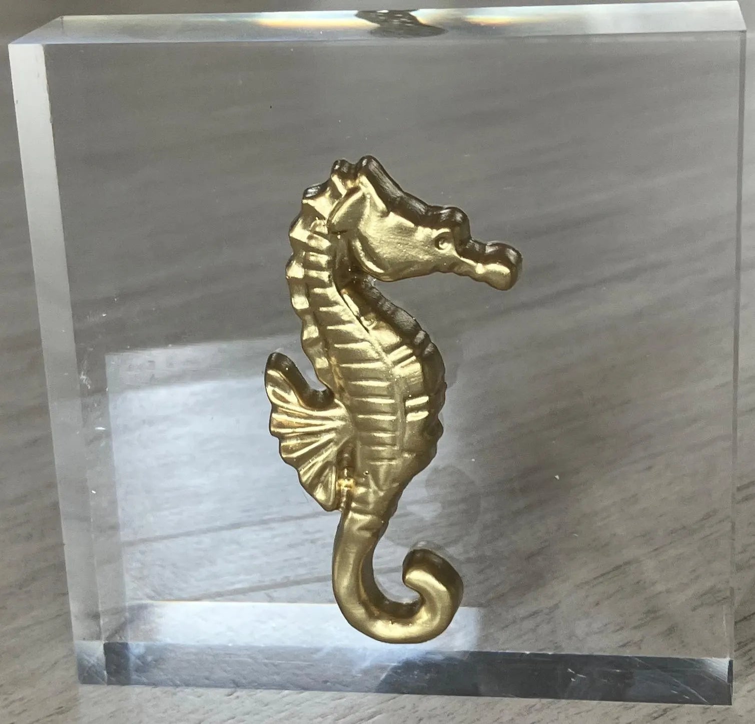 Gold Seahorse Intaglio on Acrylic Block – 4x4x1 Decorative Desk Sculpture