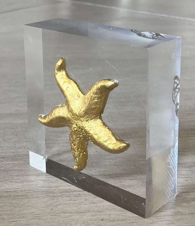 Gold Starfish Intaglio on Acrylic Block – 3x3x1 Handmade Coastal Decor – Beach Lover Desk or Shelf Art